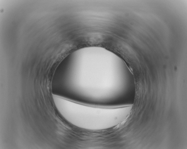 X0000088750184200705311126