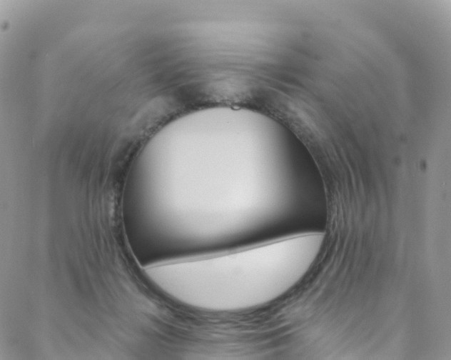 X0000088750268200705311124