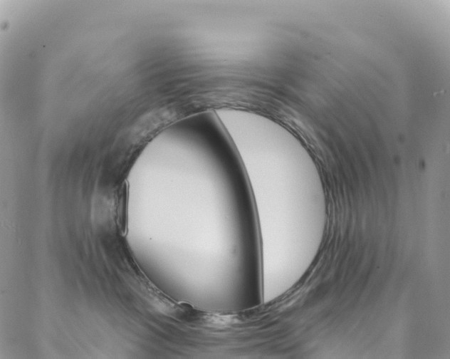 X0000088750333200705311123