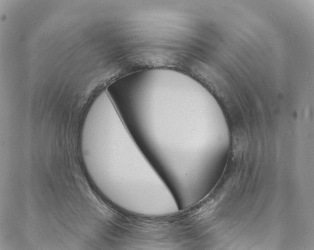 X0000088750453200705311121