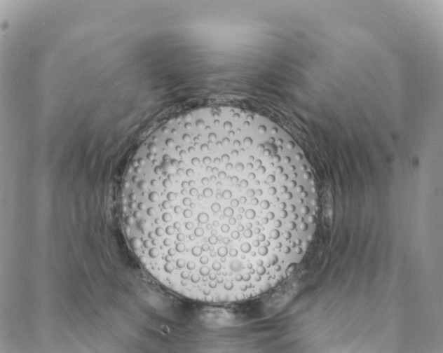 X0000088750519200705311120