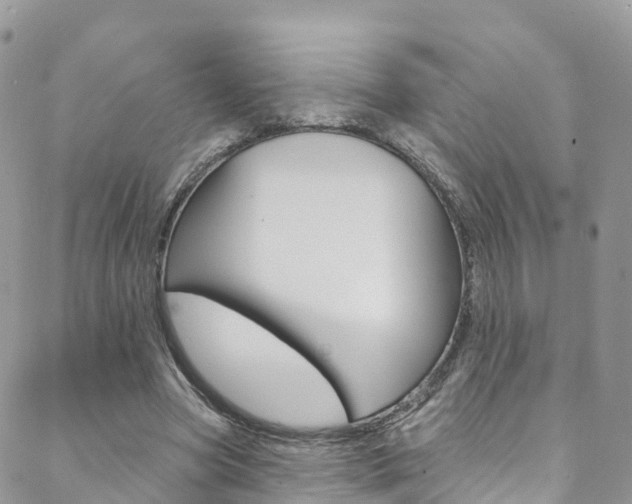 X0000088750537200705311119
