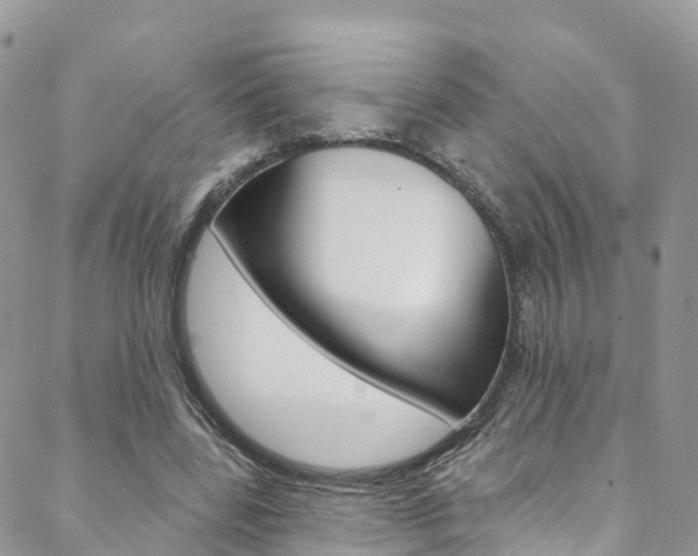 X0000088750539200705311119