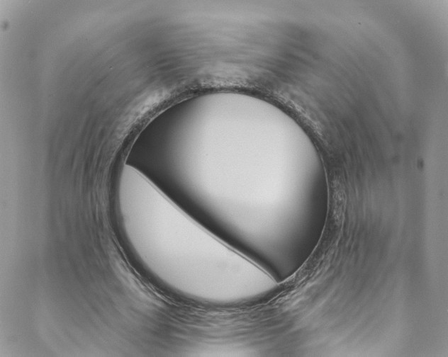 X0000088750631200705311117