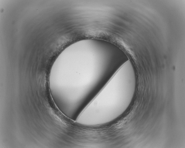 X0000088750637200705311117