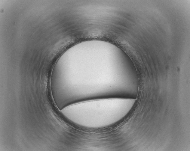 X0000088750640200705311117