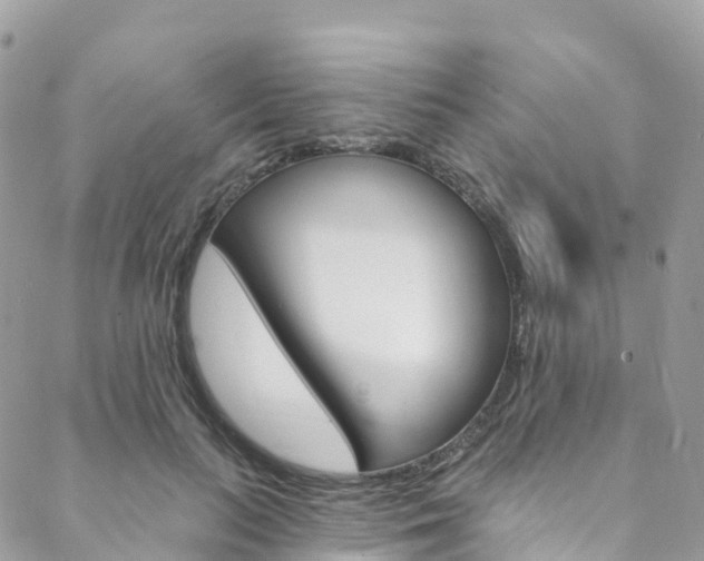 X0000088750647200705311118
