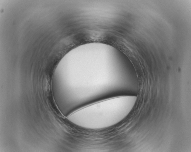 X0000088750651200705311118