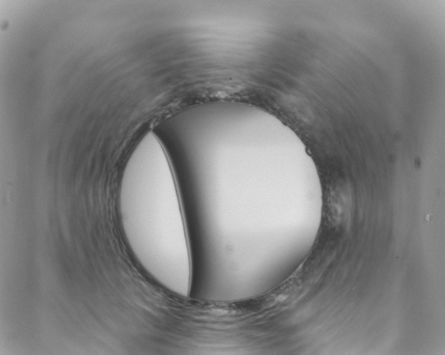 X0000088750657200705311118