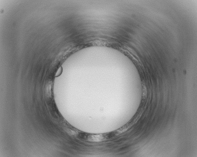 X0000088750717200705311116