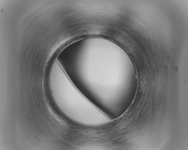 X0000088750728200705311116