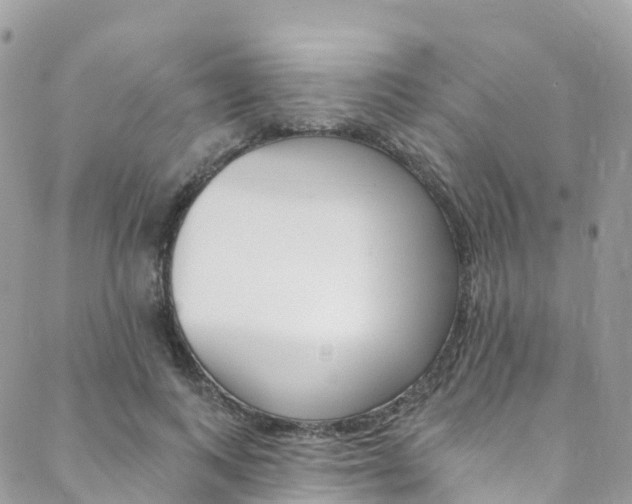 X0000088750743200705311116