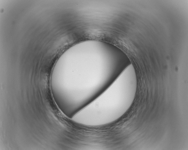 X0000088750744200705311116