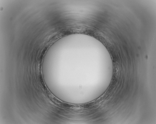 X0000088750745200705311116