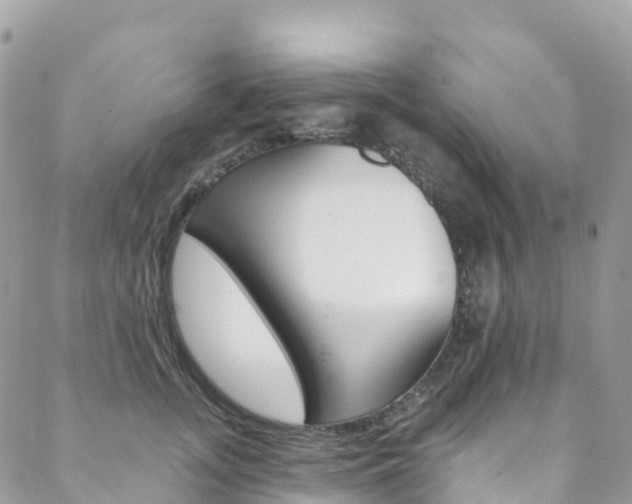X0000088750755200705311116