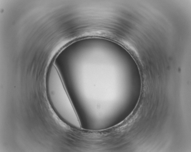 X0000088750792200705311115