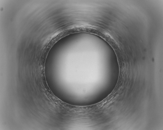 X0000088750822200705311114