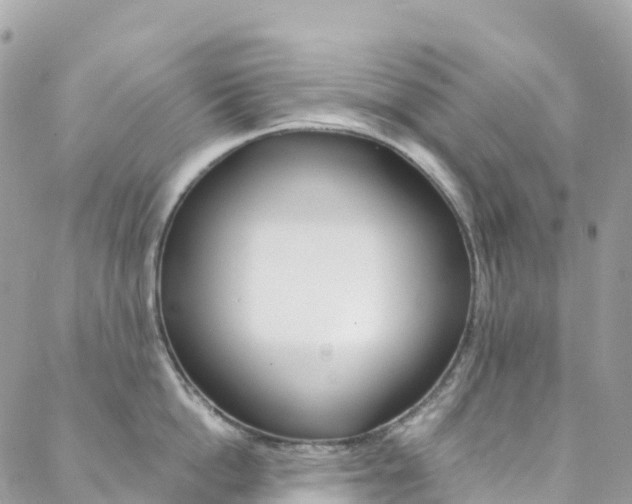 X0000088750862200705311115