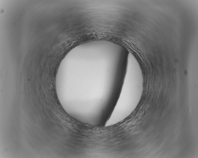 X0000088750865200705311114