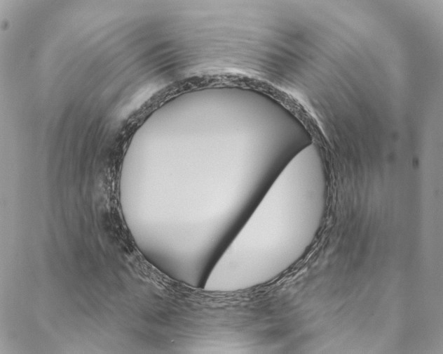 X0000088750871200705311114