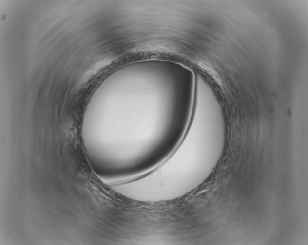 X0000088750872200705311114