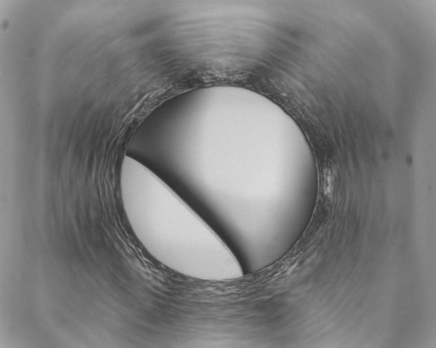 X0000088750915200705311113