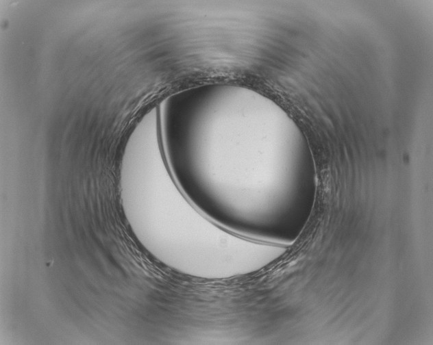 X0000088750916200705311113