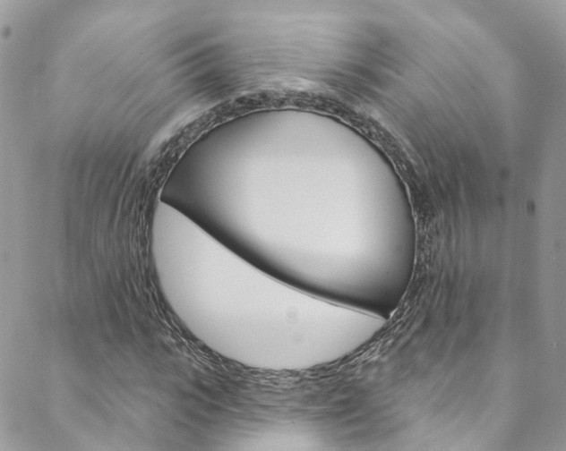 X0000088750919200705311113