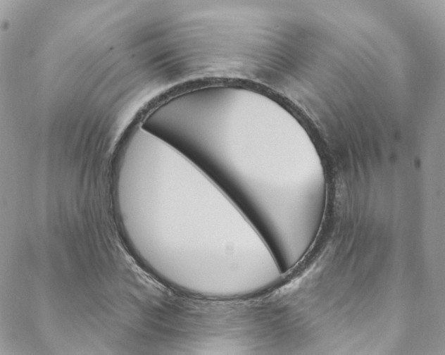 X0000088750926200705311113