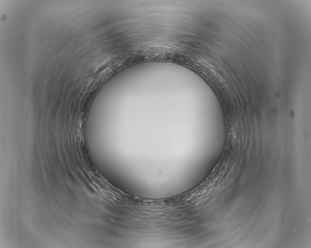 X0000088750964200705311112