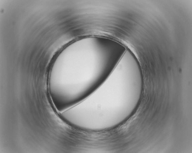 X0000088750987200705311112