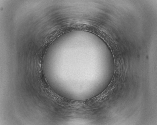 X0000088751013200705311111