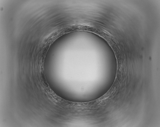 X0000088751014200705311111