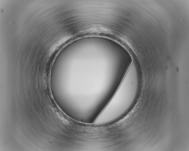 X0000088751018200705311111