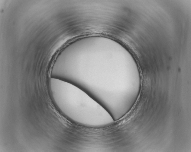 X0000088751023200705311111