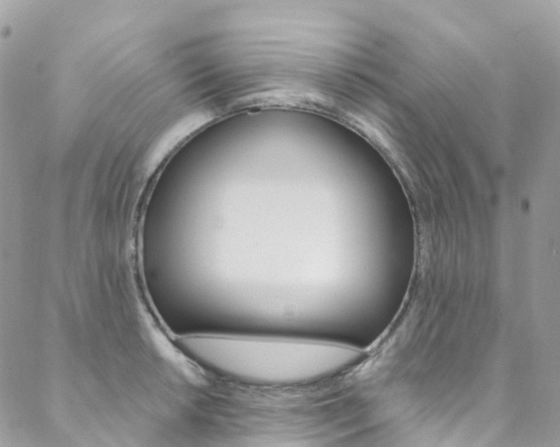 X0000088751042200705311111