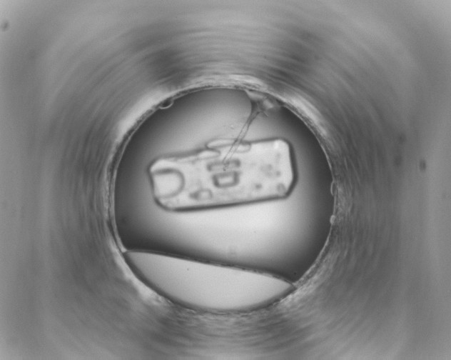 X0000088751046200705311112