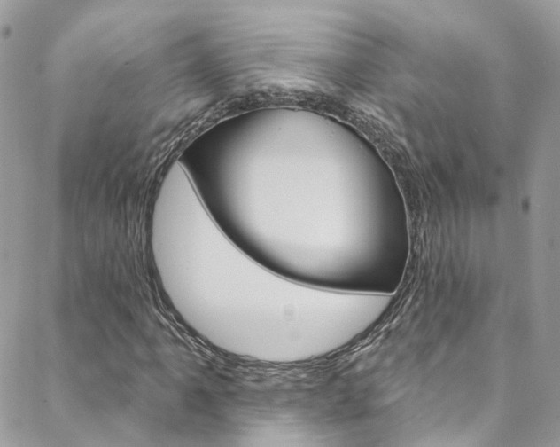 X0000088751061200705311111