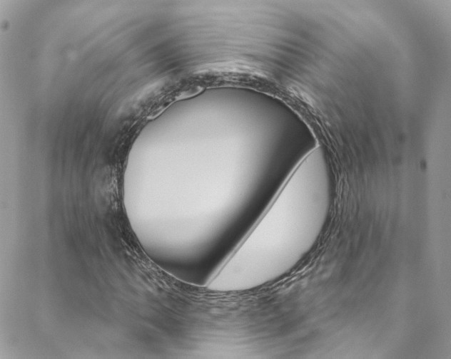 X0000088751062200705311111