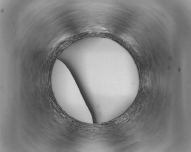 X0000088751063200705311111