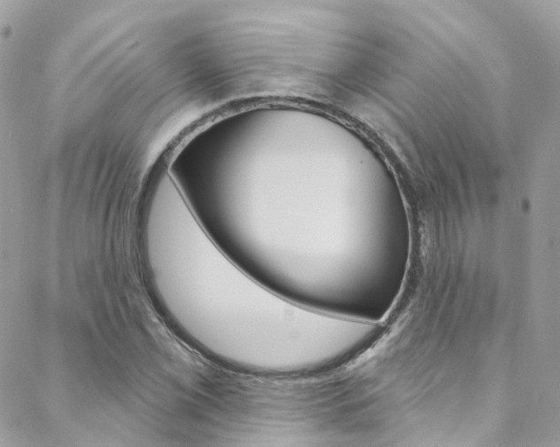 X0000088751069200705311111