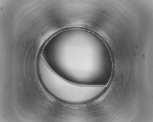 X0000088751077200705311111