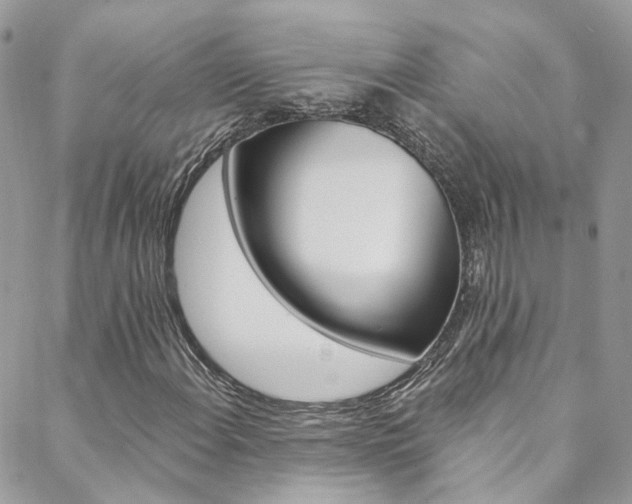X0000088751108200705311109