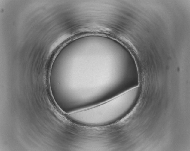 X0000088751114200705311110