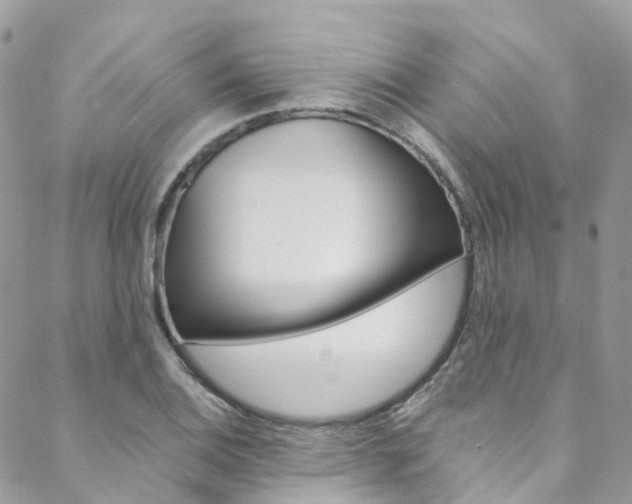 X0000088751124200705311110