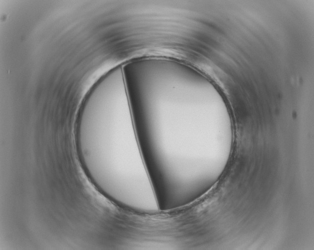 X0000088751133200705311110