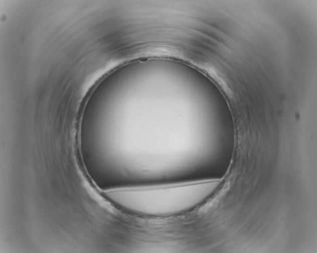 X0000088751134200705311110