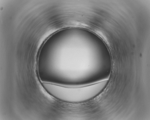 X0000088751136200705311110