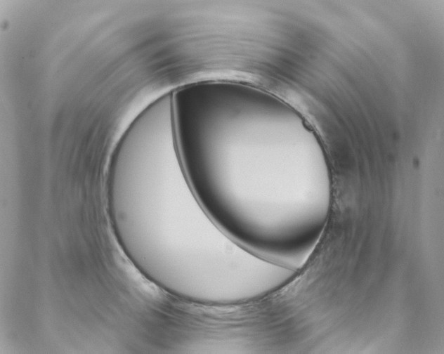 X0000088751140200705311110