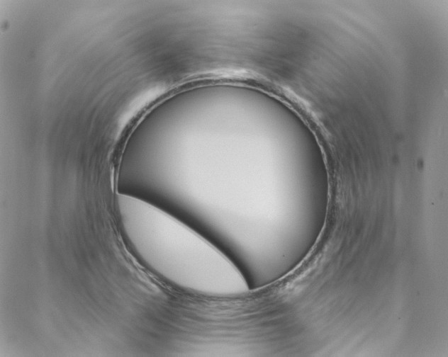X0000088751171200705311109